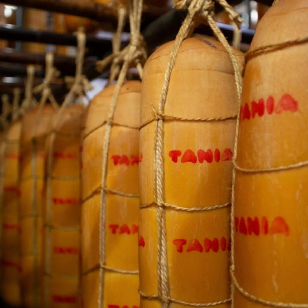 Queijo Provolone Gigante Tania Defumado - de R$49,99 a R$99,99