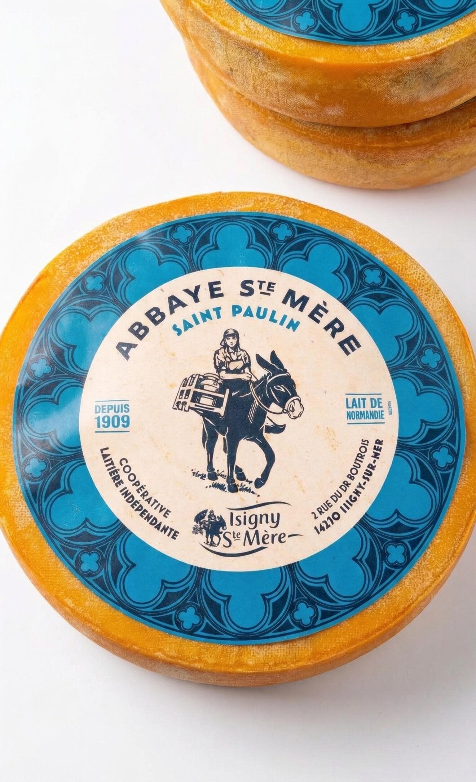 Queijo Francês Saint-Paulin | Tradição Suave e Cremosa