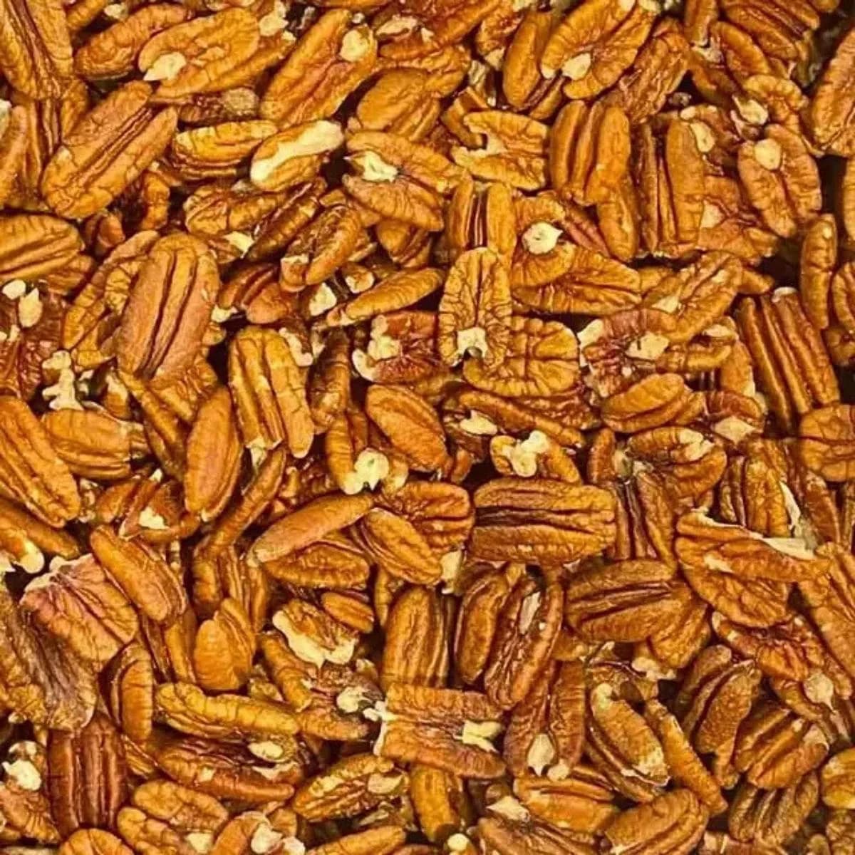 Nozes Pecan Americana (Natural / Premium) - de R$37,99 a R$149,99